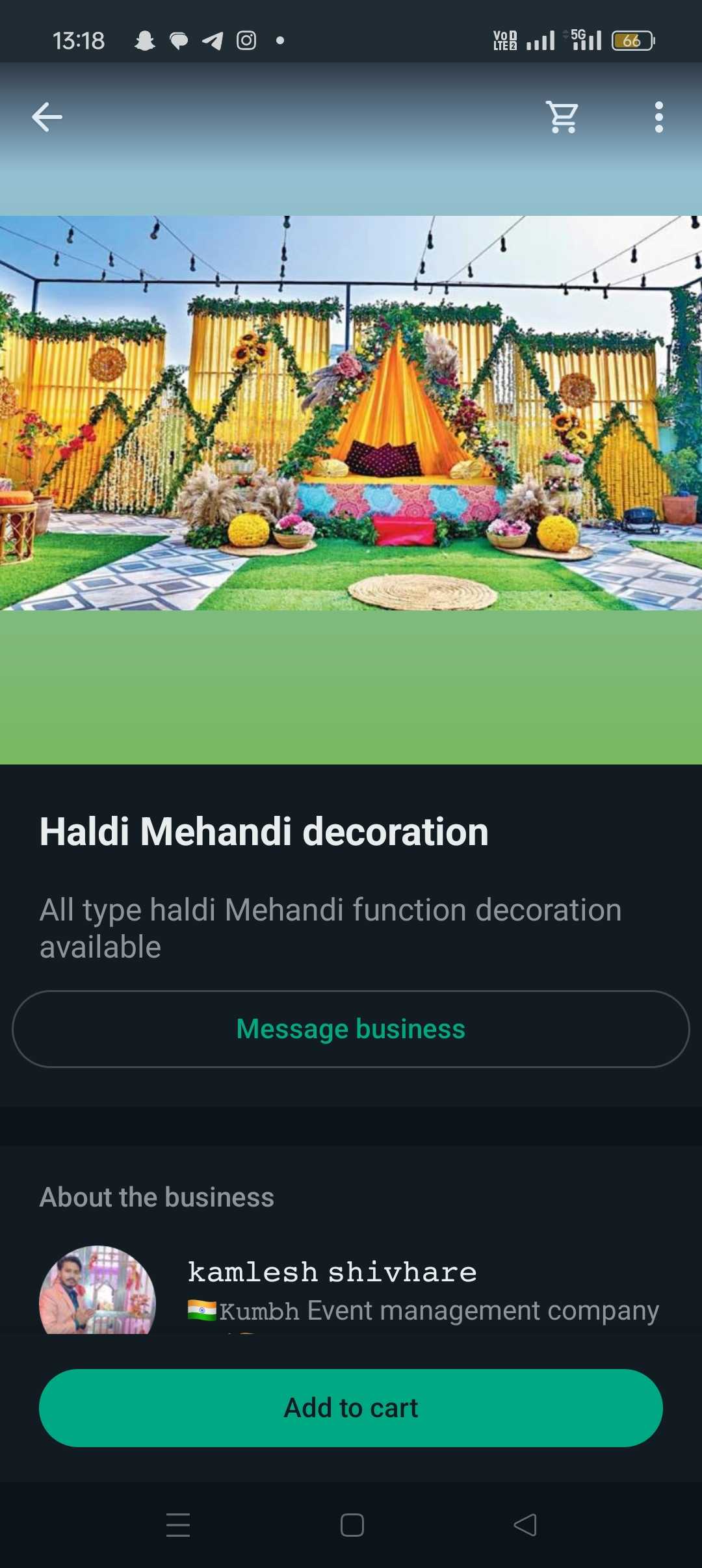 1st image description