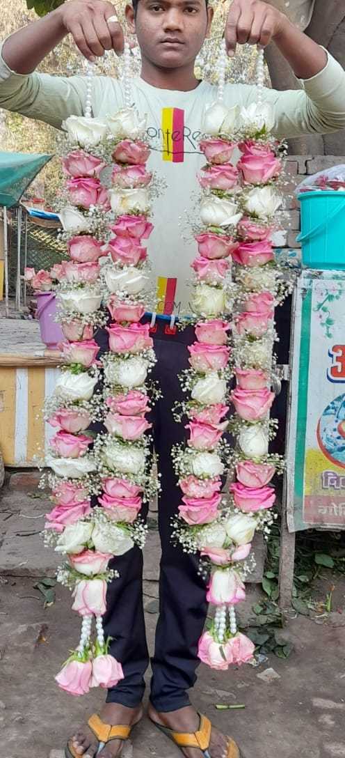 1st image description