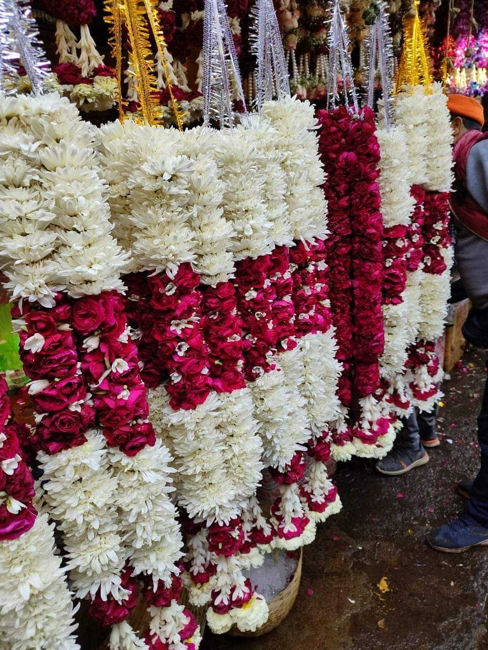 1st image description