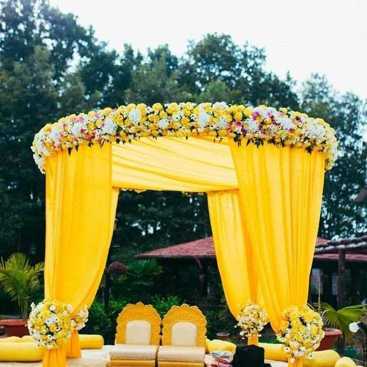 1st image description