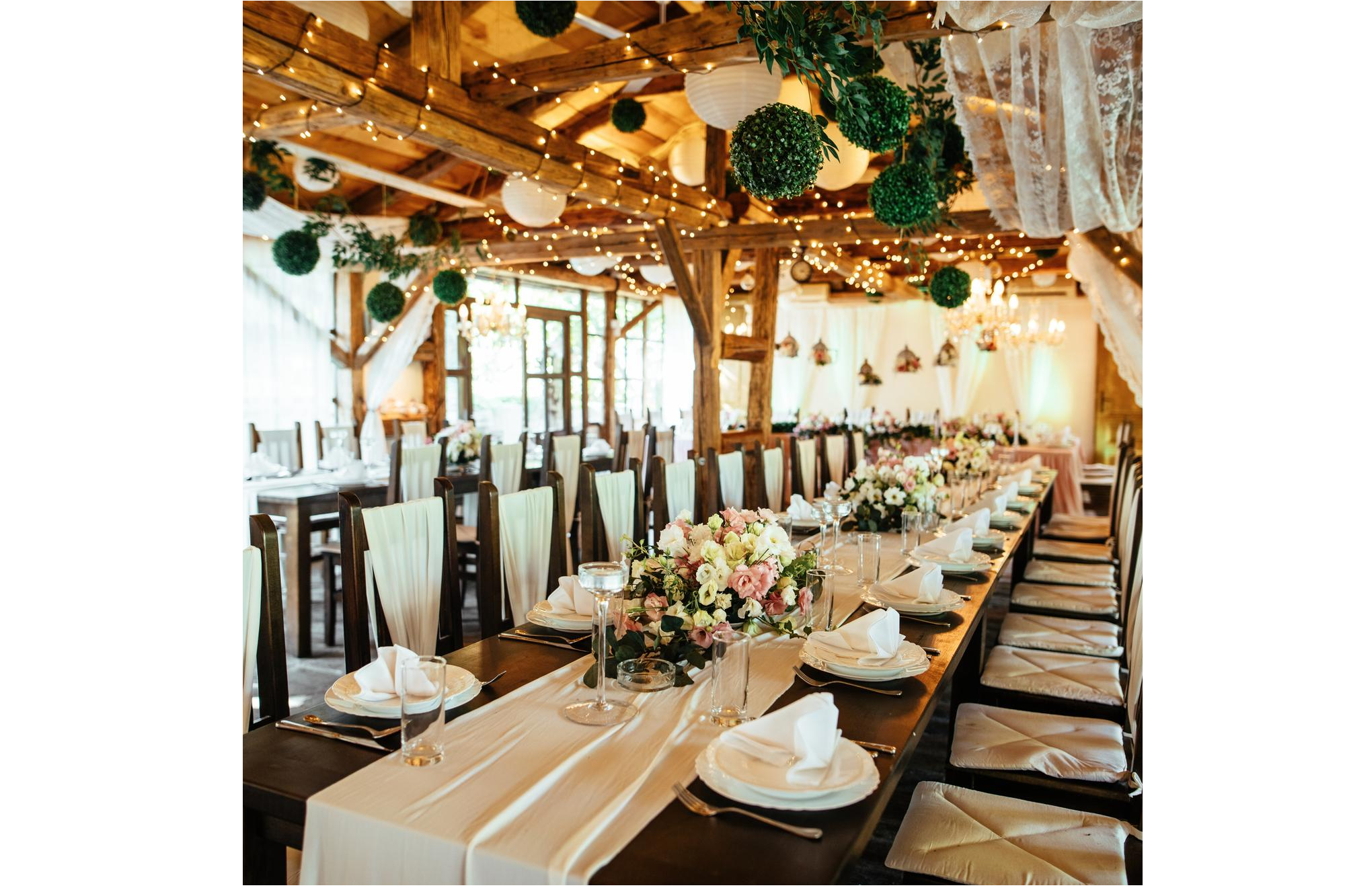 1st image description