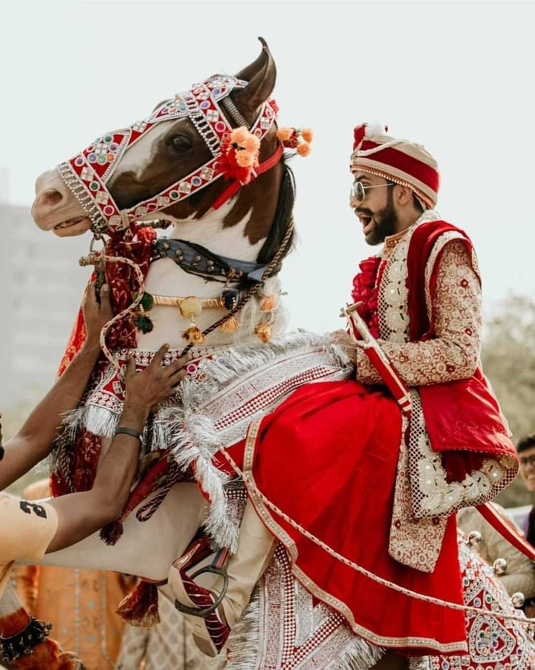 1st image description