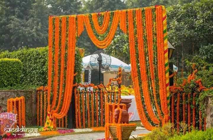 1st image description