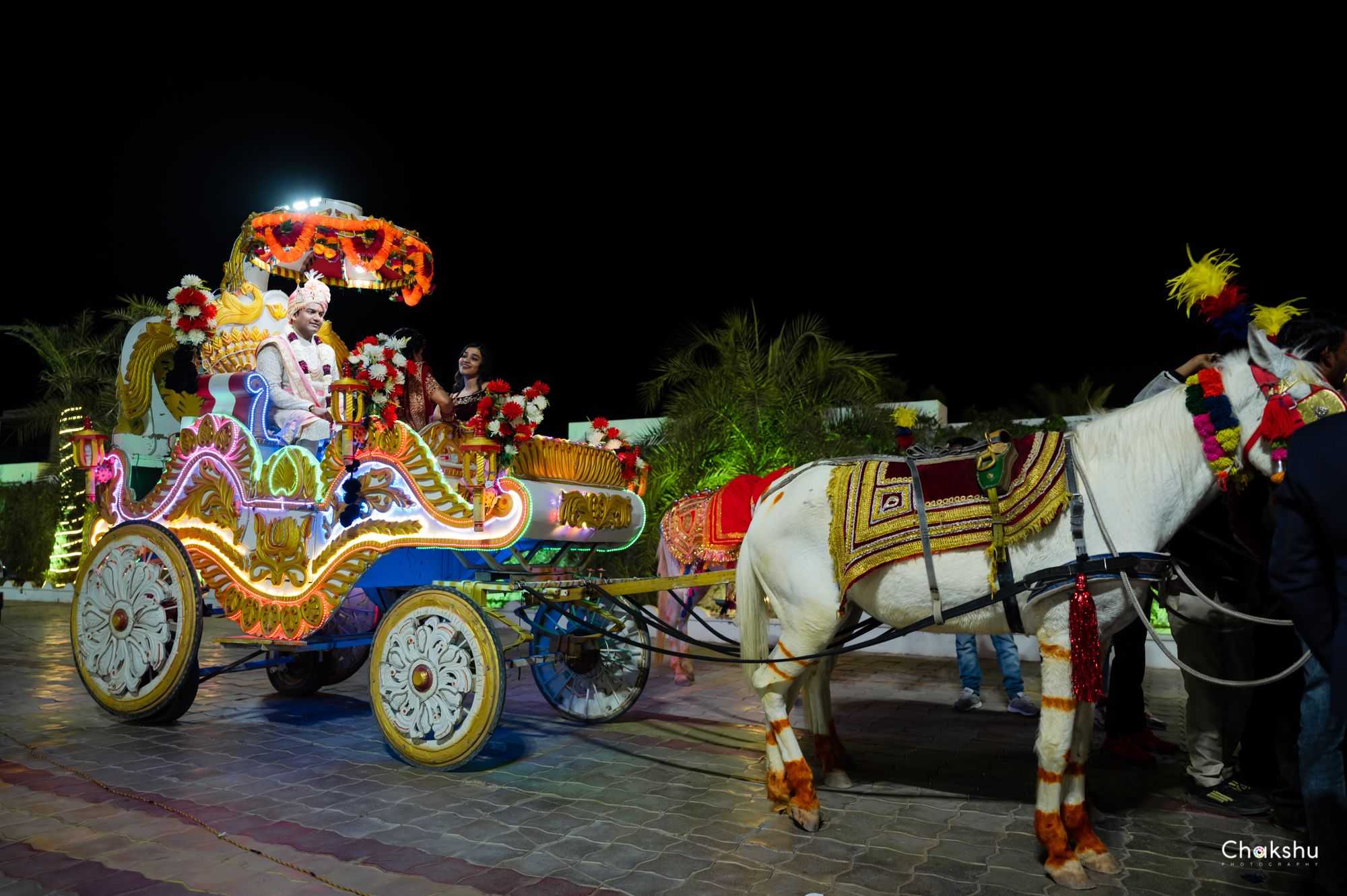 1st image description