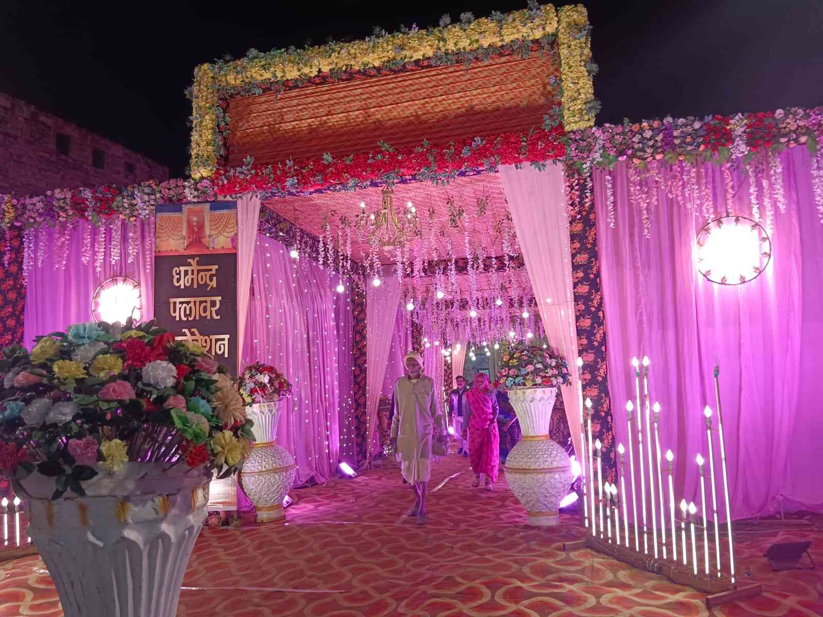 1st image description