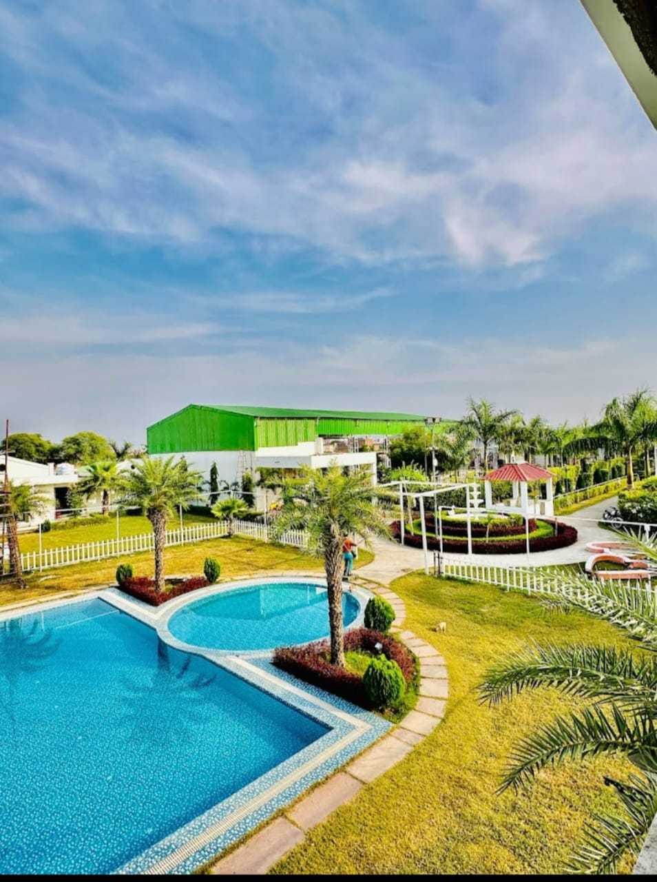 1st image description