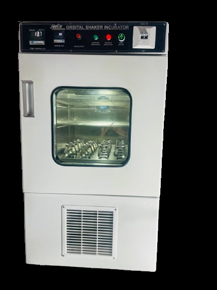 1st image description