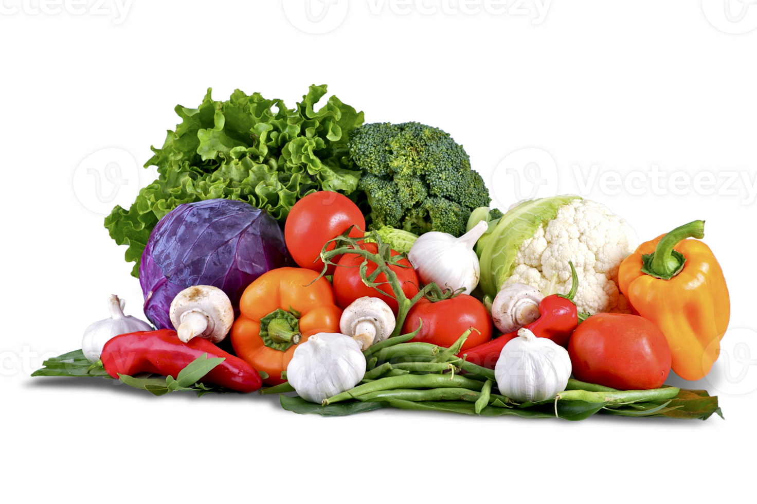 1st image description