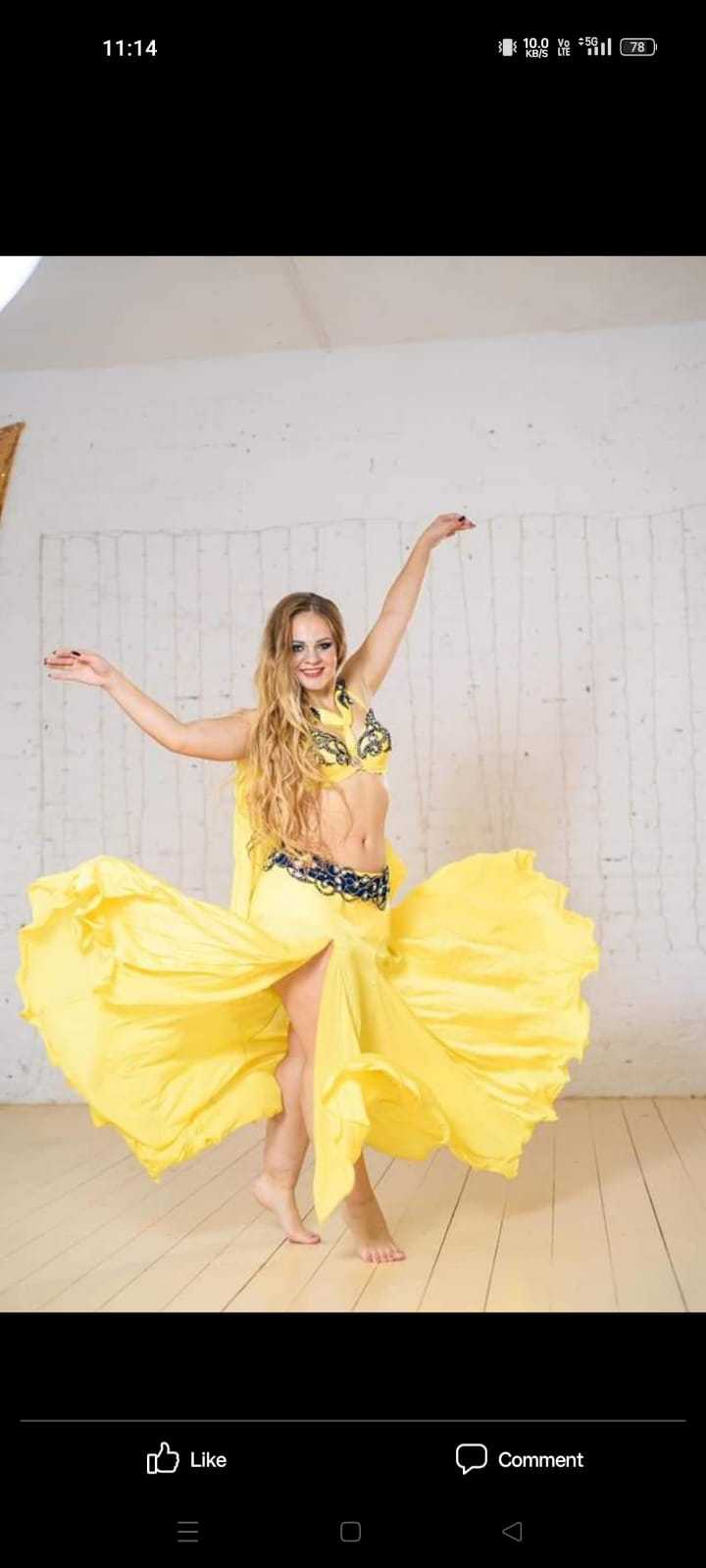 1st image description