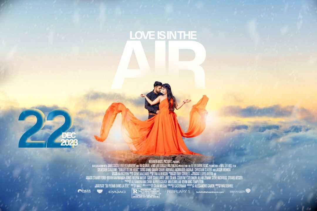 1st image description